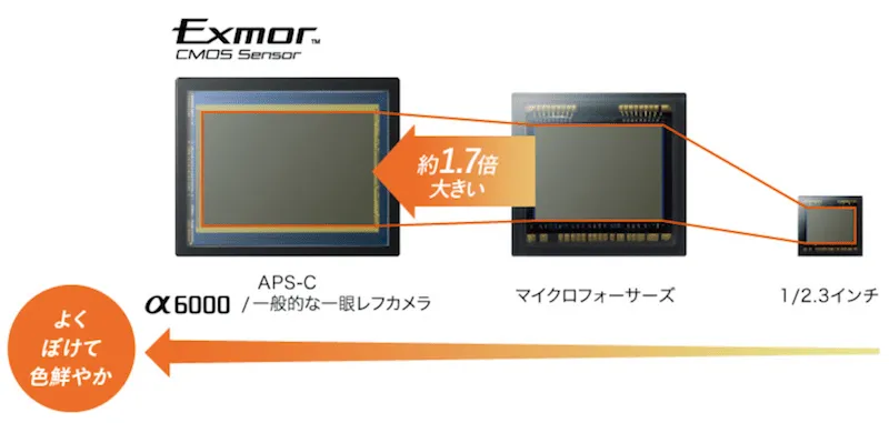 SONYのミラーレス一眼のセンサーサイズは他社より大きい