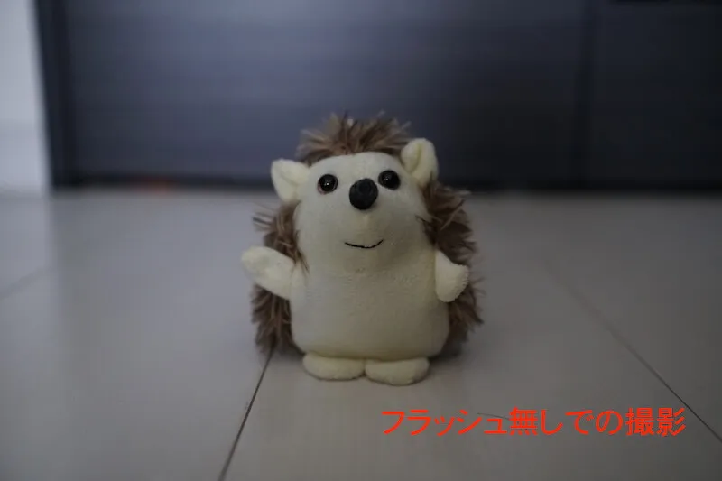 フラッシュなしで撮影