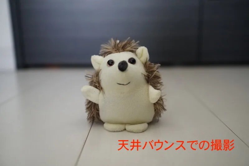 天井バウンスで撮影