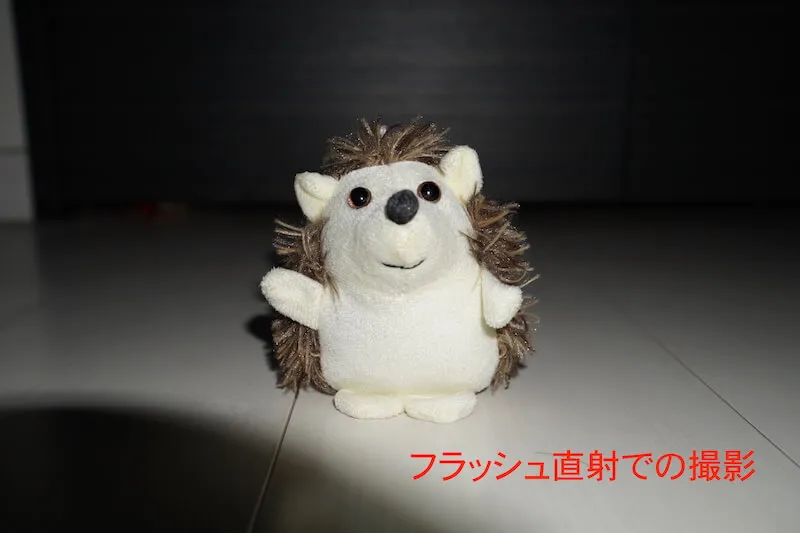 フラッシュを直接当てて撮影